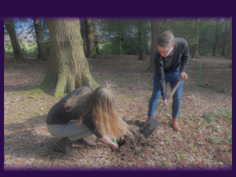 Volunteers planting trees