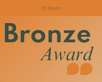 Bronze Award