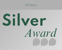 Silver Award