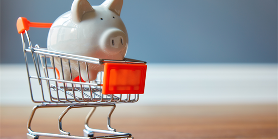 Piggy bank in a shopping trolley