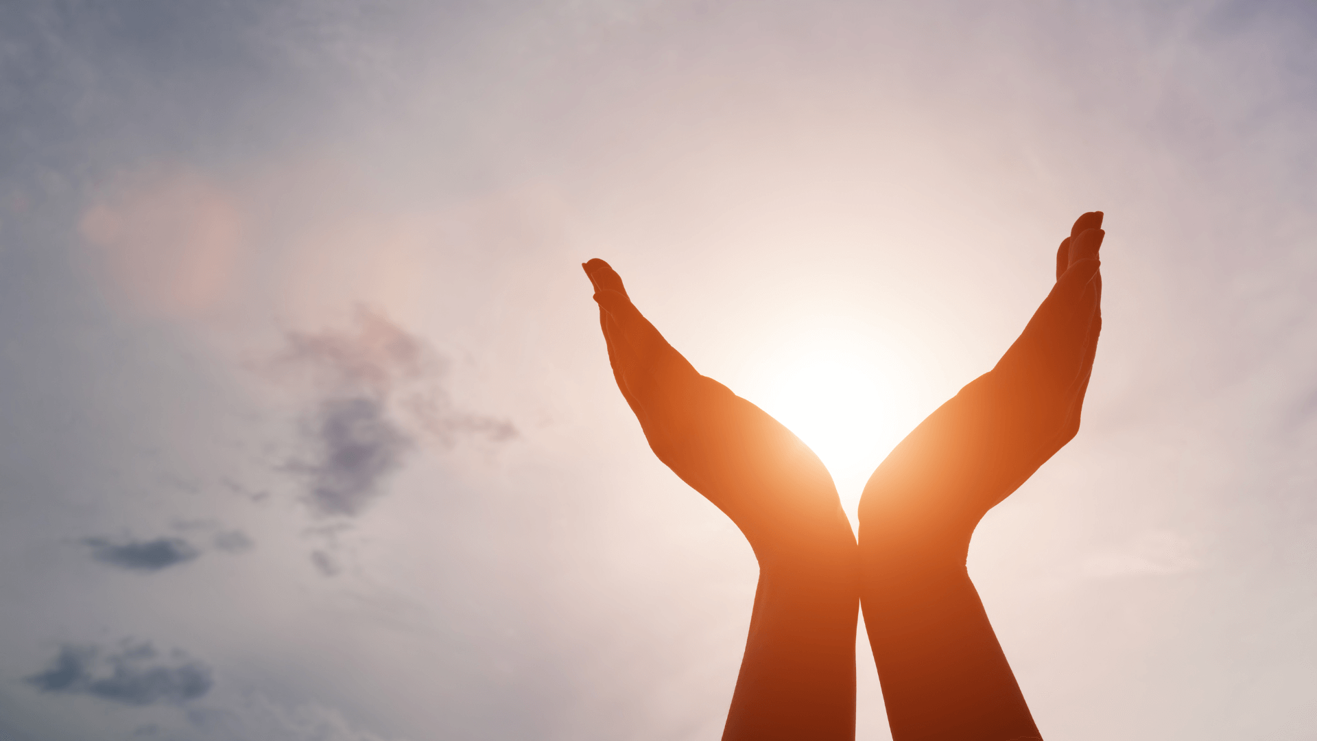 Hands held up to sky