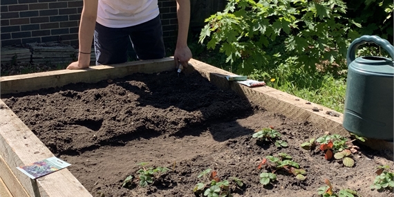 Image of a student gardening