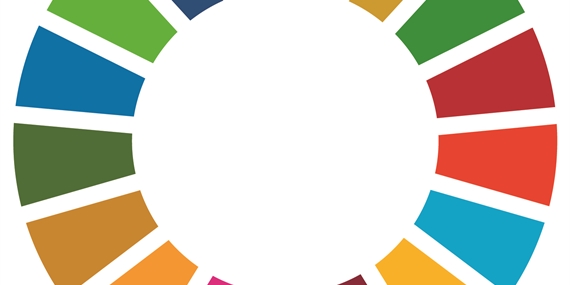 Sustainable Development Goals colour wheel