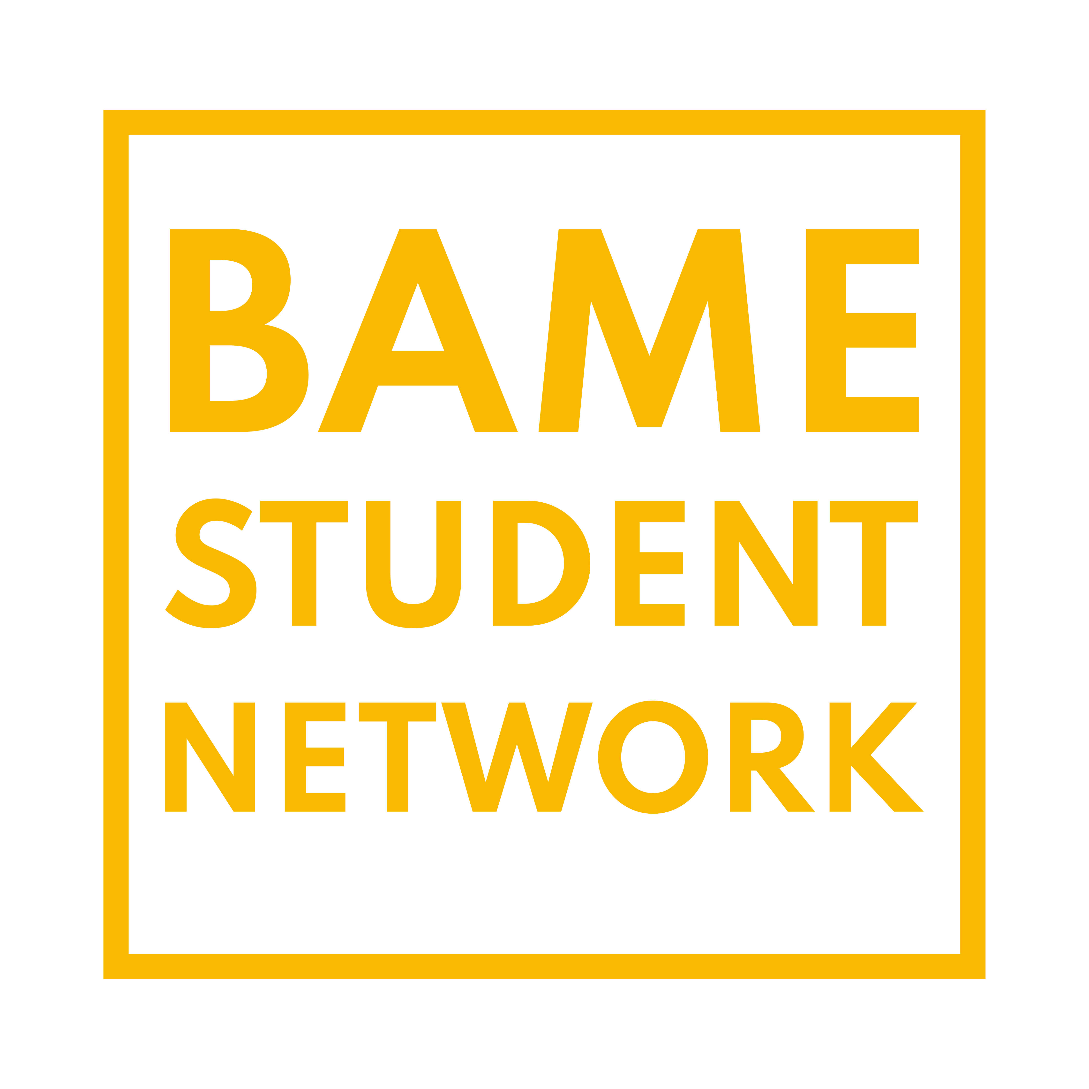 BAME Student Network